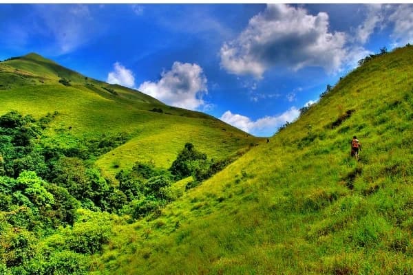 Tadiandamol Trek poster