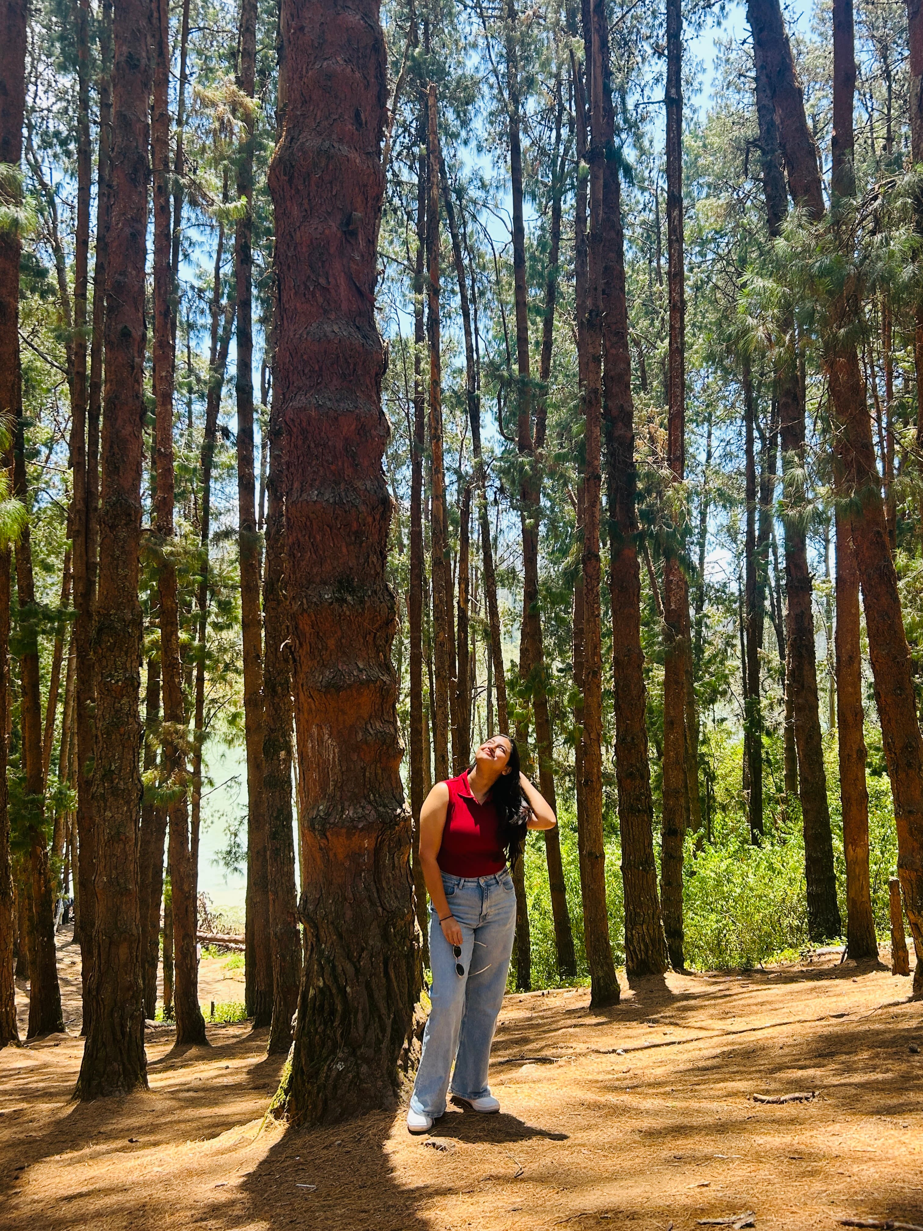 Ooty 2 Days Trip from Bangalore – Queen of Hills Weekend Escape poster