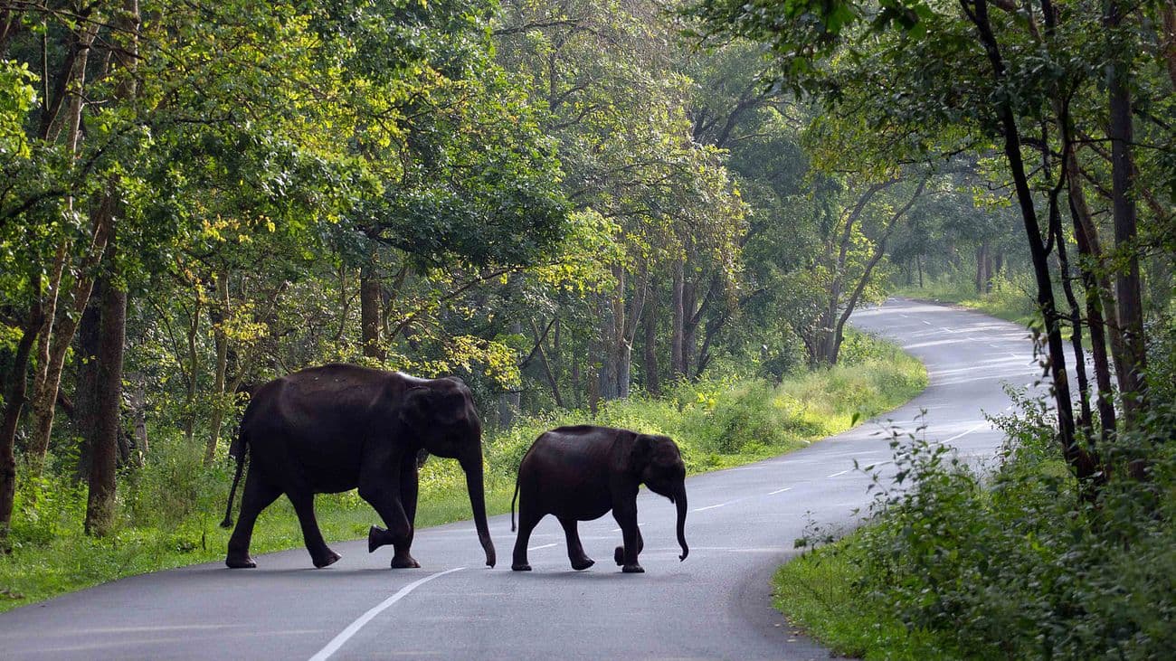 Wayanad Exploration  (2D 1N) poster