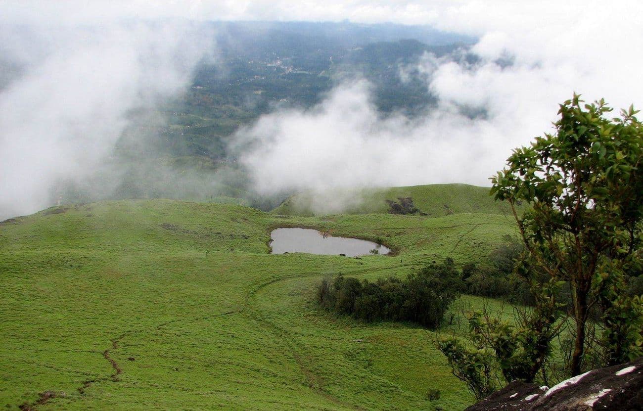 WAYANAD 2D1N Trip poster