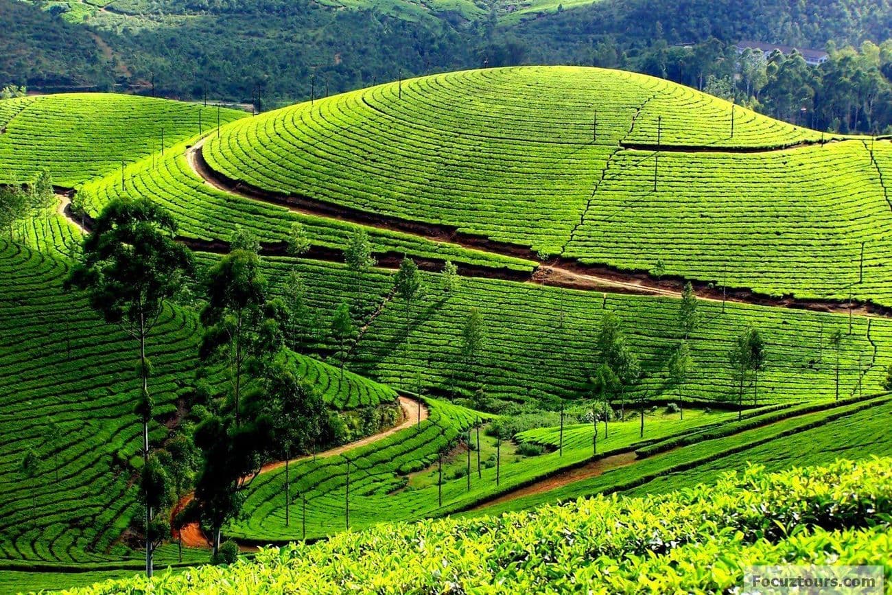 Oooty-Coonoor 2D1N Trip PLAN poster