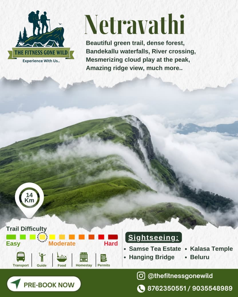 Nethravathi Peak trek poster