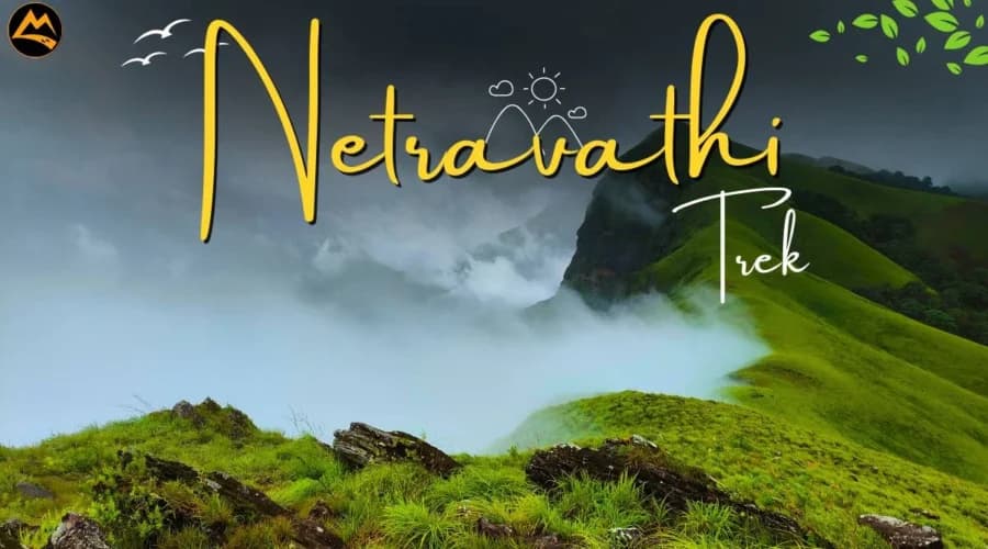 Netravati Trekking And Kodige Waterfalls From Bangalore poster