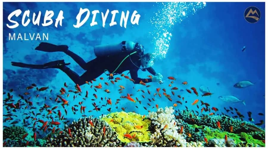 Scuba Diving Trip To Malvan With Water Sports (Ex Belgaum) poster