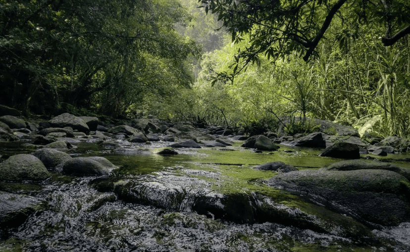 Narasimha Parvatha Trek From Bangalore poster
