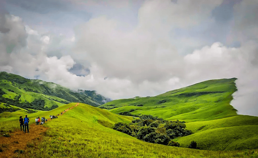Unveil the Misty Trails of Valikunja Trek in Bangalore (2 Days) 
 poster
