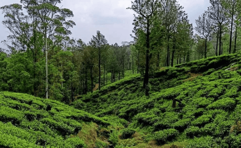 Meruthi Gudda Trek from Bangalore poster