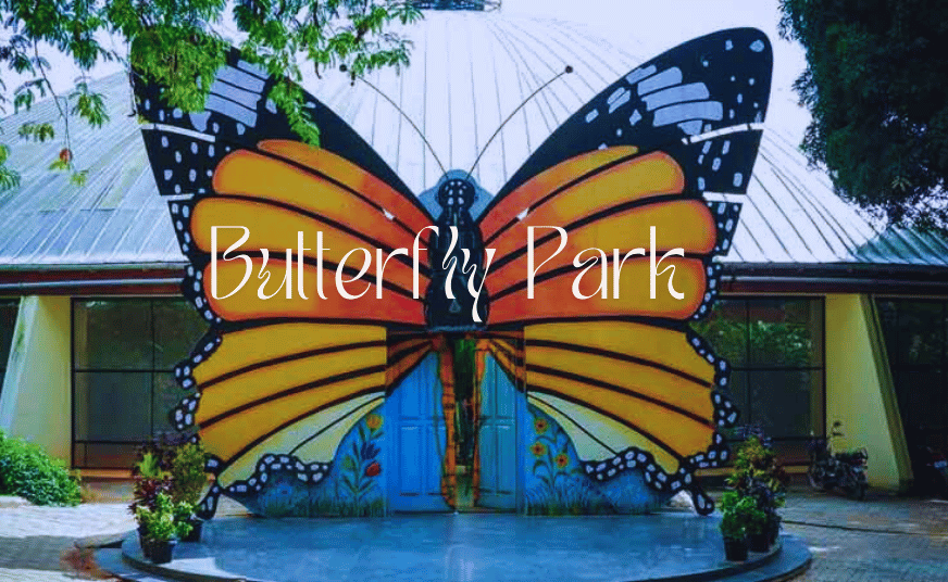 Discover the Misty Trails of Bannerghatta National Park in Bangalore on a One-Day Adventure 
 poster