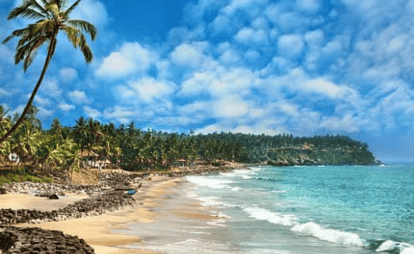 Munnar Madness x Alleppey Vibes – 3-Day Mega Trip poster