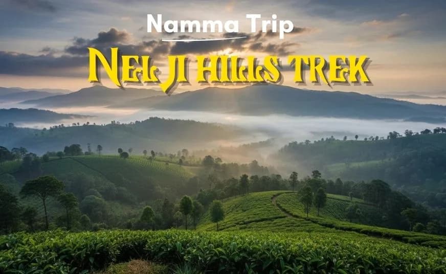 Nelji Hills Trek - Coorg Explorer from Bangalore poster