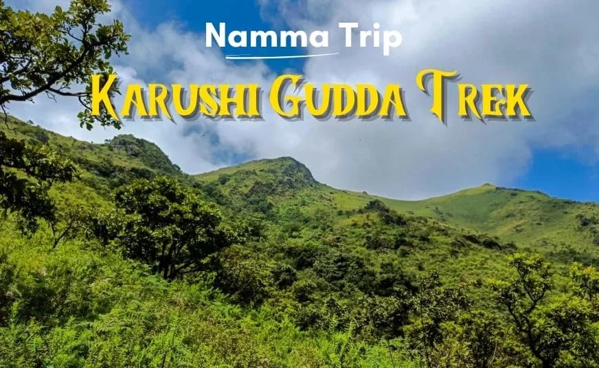 Karushi Gudda Trek – Chikkamagaluru from Bangalore poster