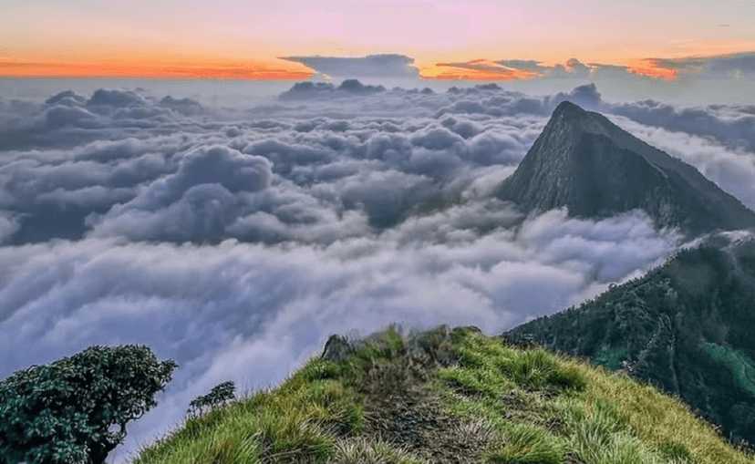 Book Kollukkumalai Sunrise Trek & Munnar Adventure poster