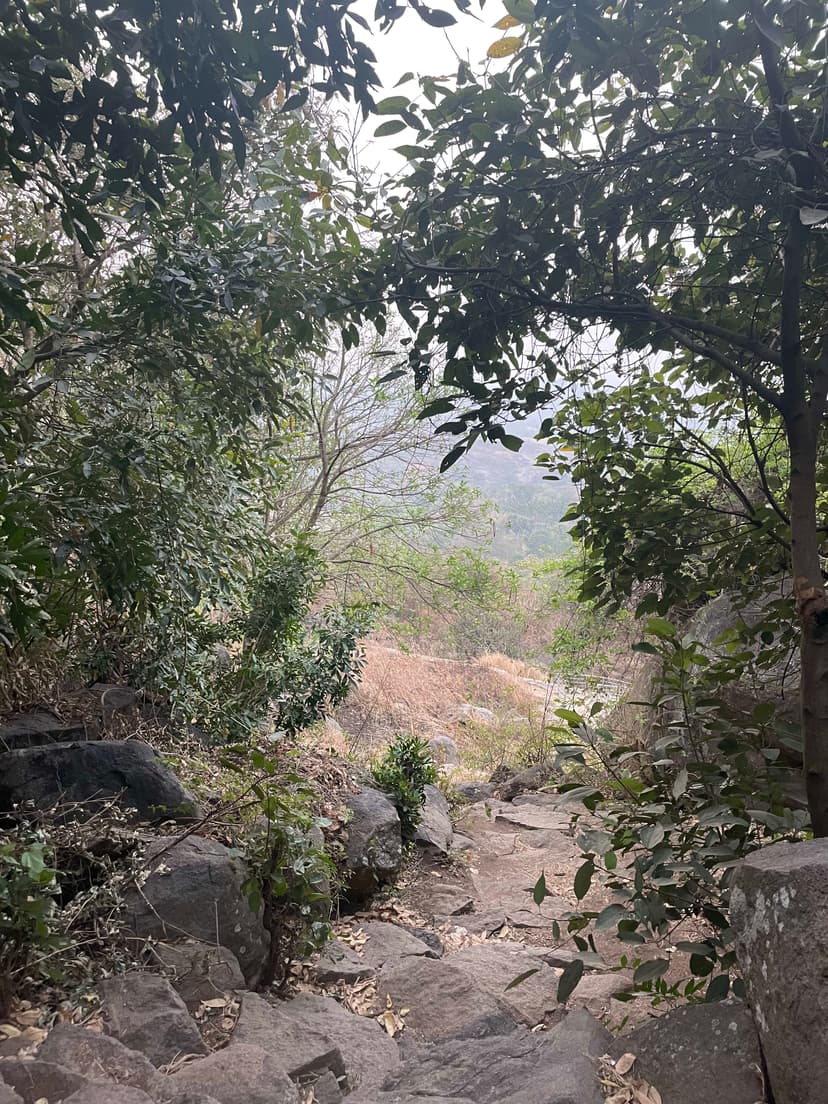 Uttari Betta Sunrise Trek poster