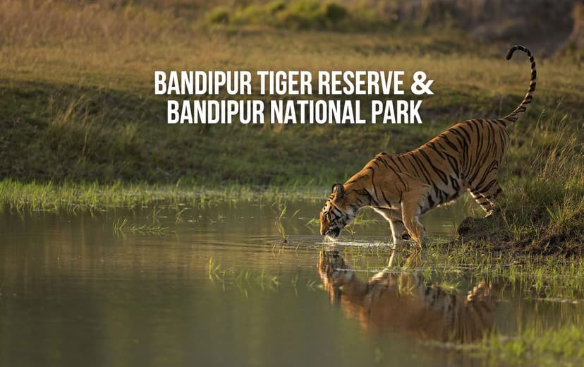 Bandipur Tiger Reserve and Bandipur National Park poster