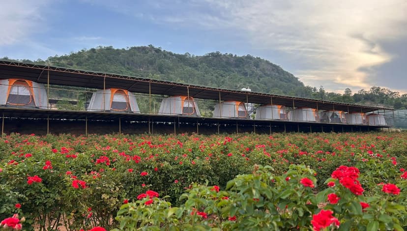 Luxury Camping at Nandi Hills poster