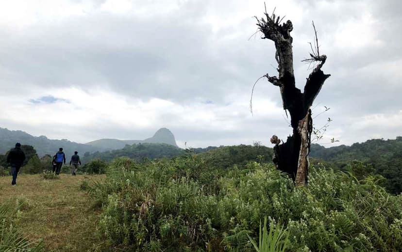 Sakleshpur Ombattu Gudda Trek poster