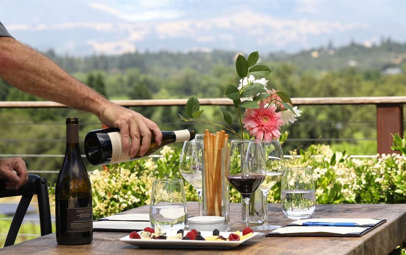 Wine Tasting in Wineries & Vineyards poster