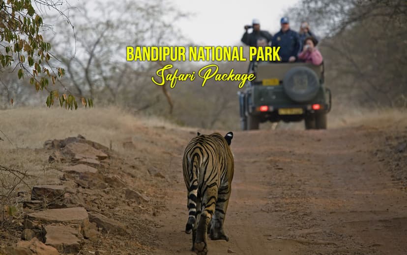 Bandipur National Park Safari Package poster