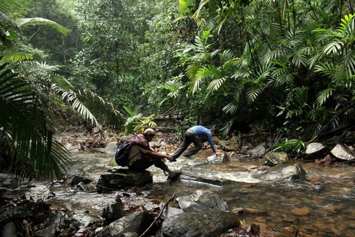 Sharavathi valley trek poster