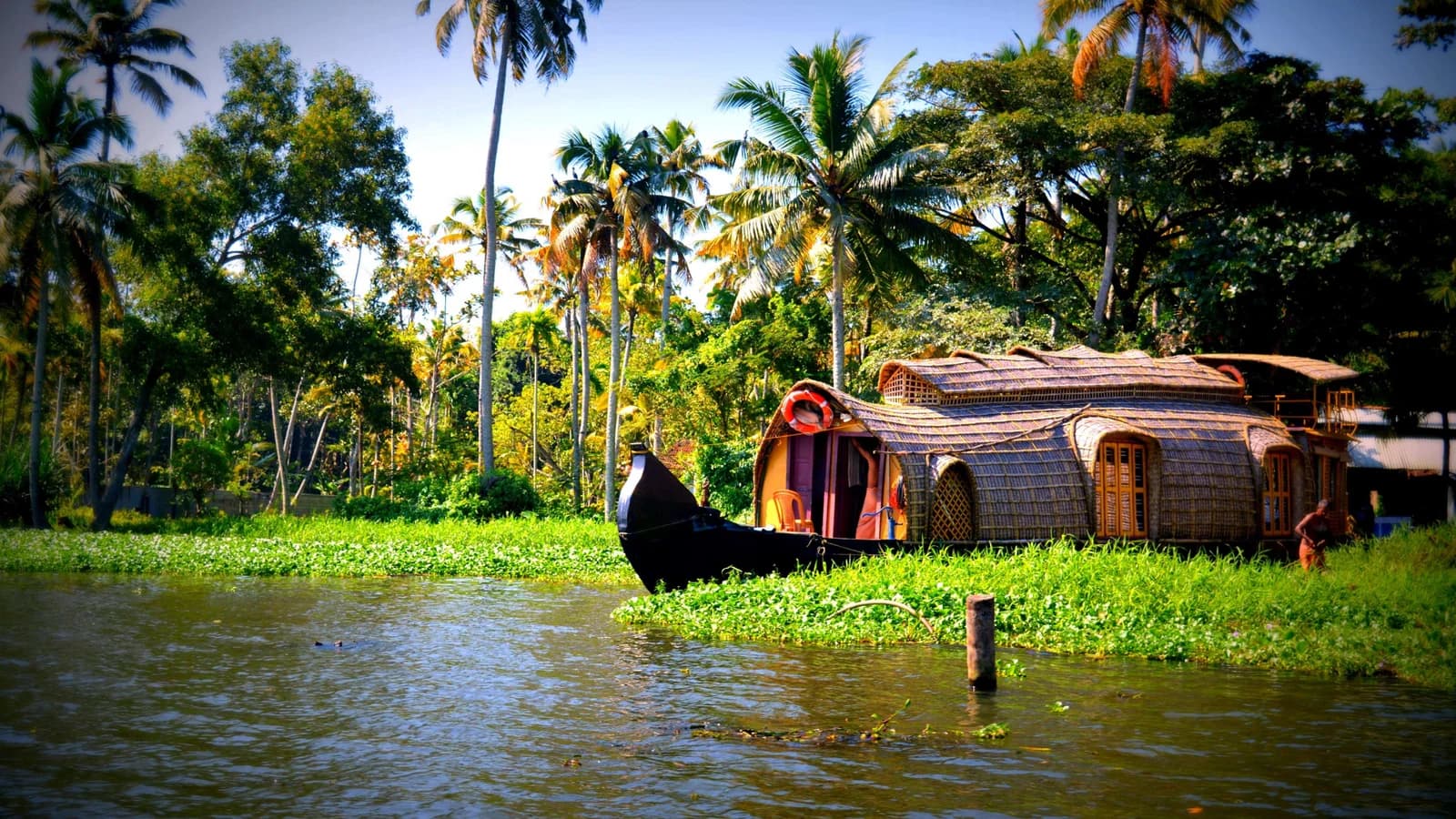 Wayanad Tour Package poster