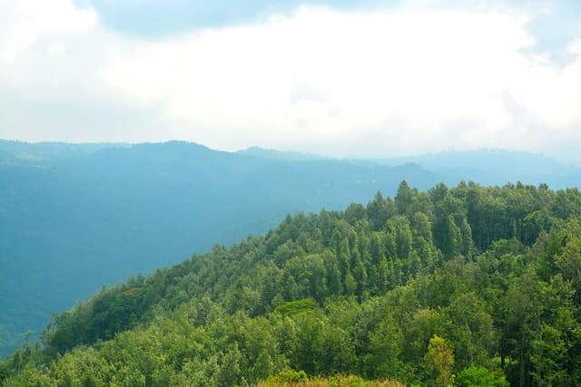 Travel Panorama