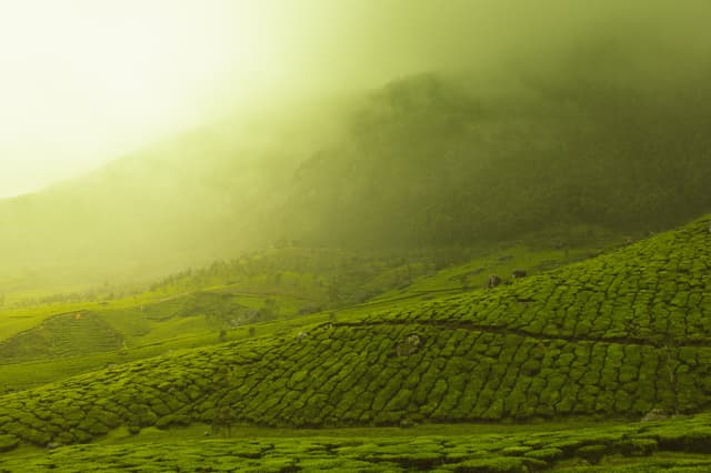 Travel Panorama