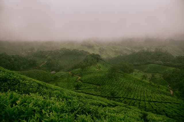 Travel Panorama