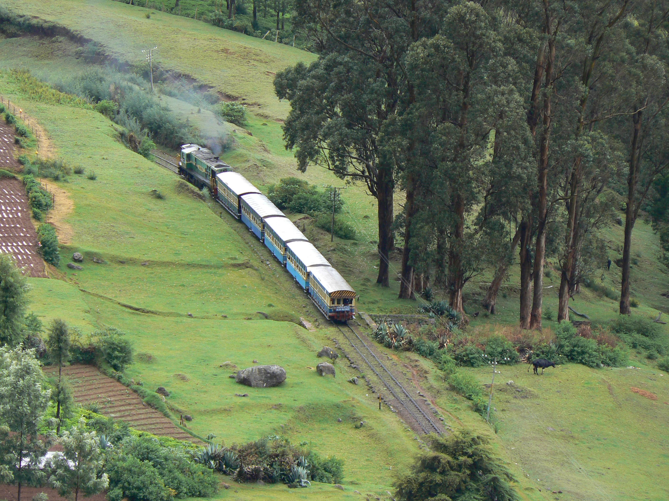 Ooty poster
