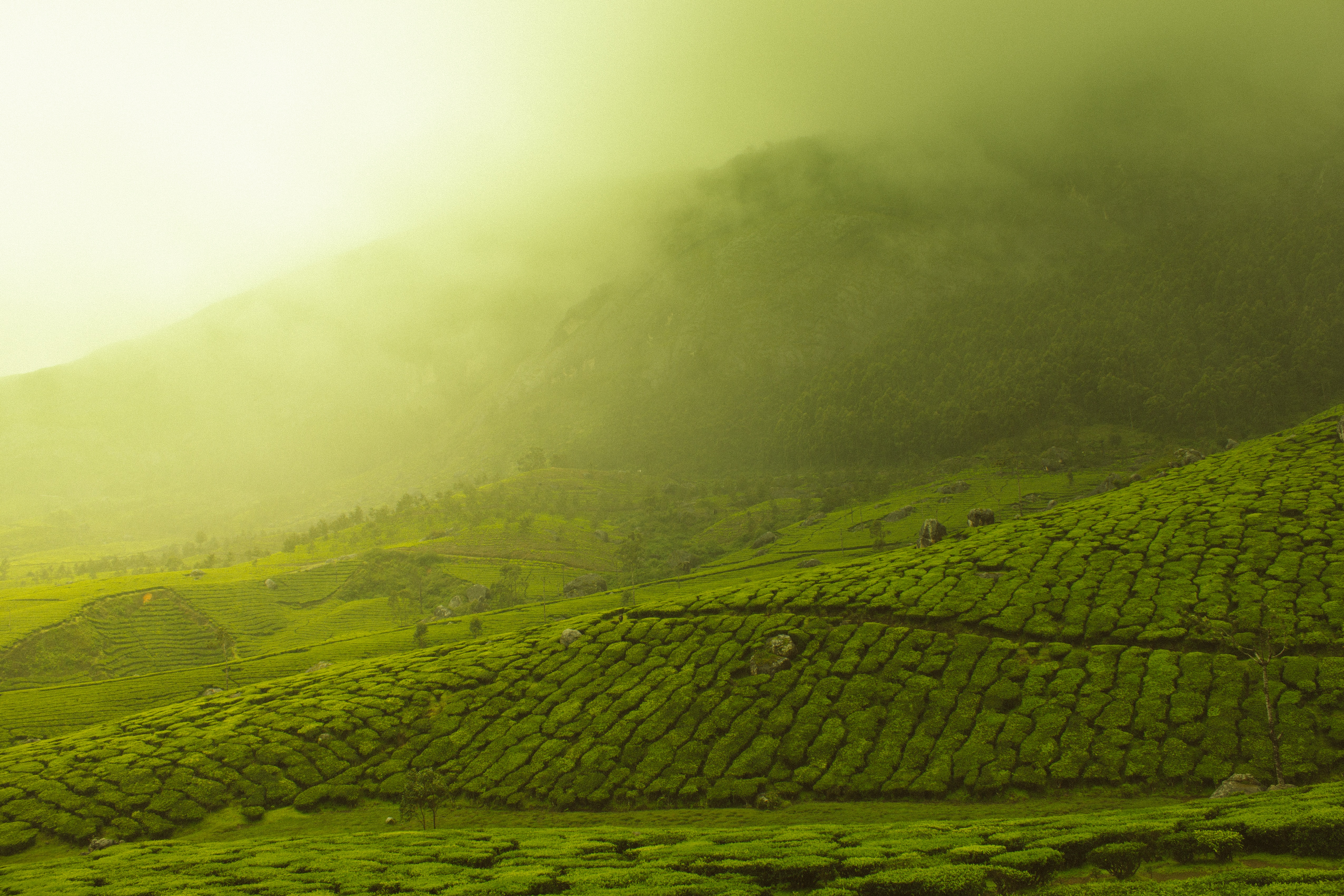 Munnar poster