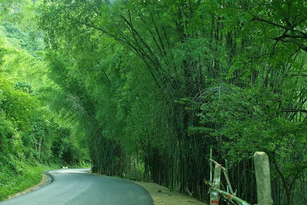 Yercaud poster