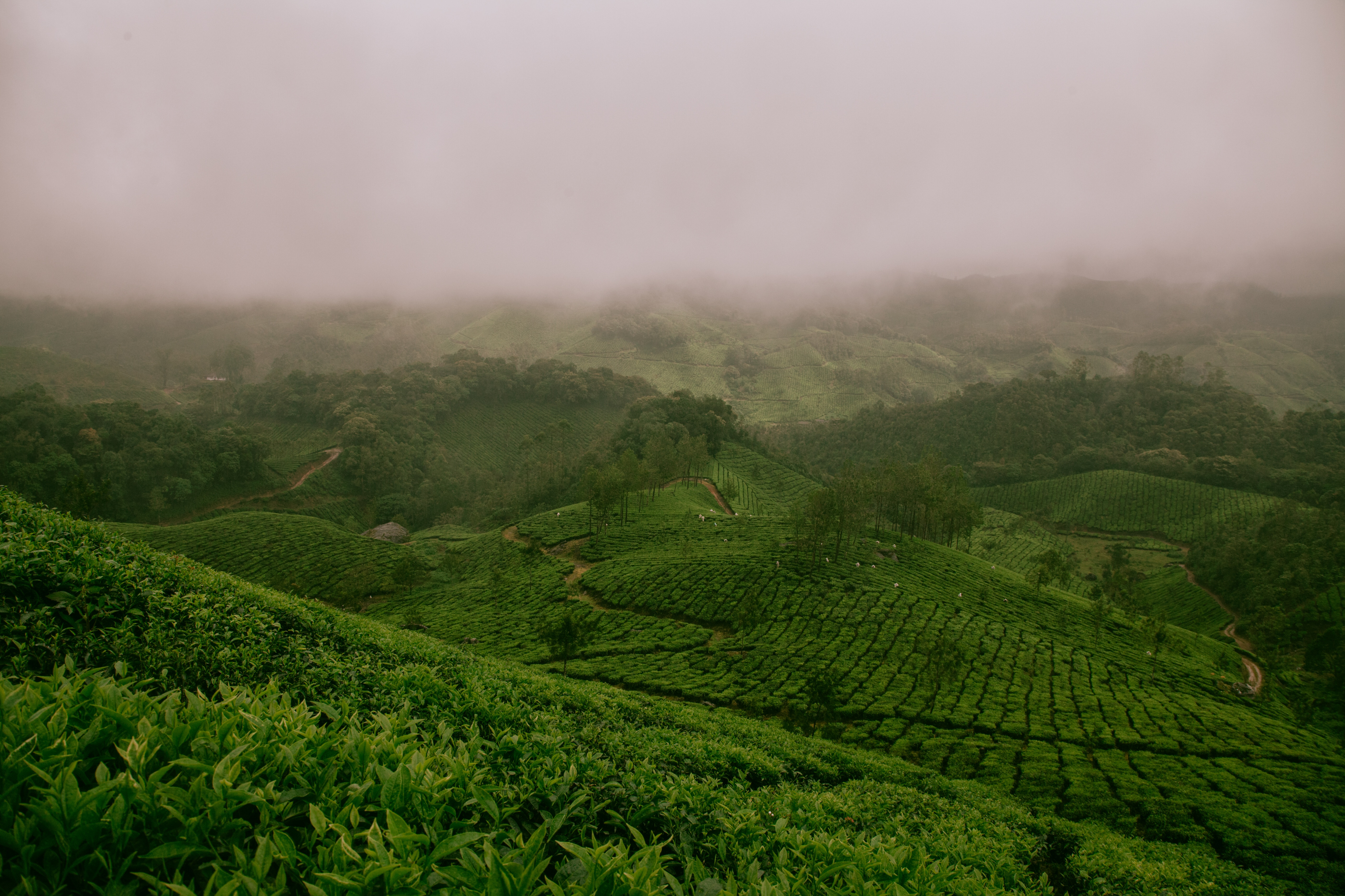 Valparai poster