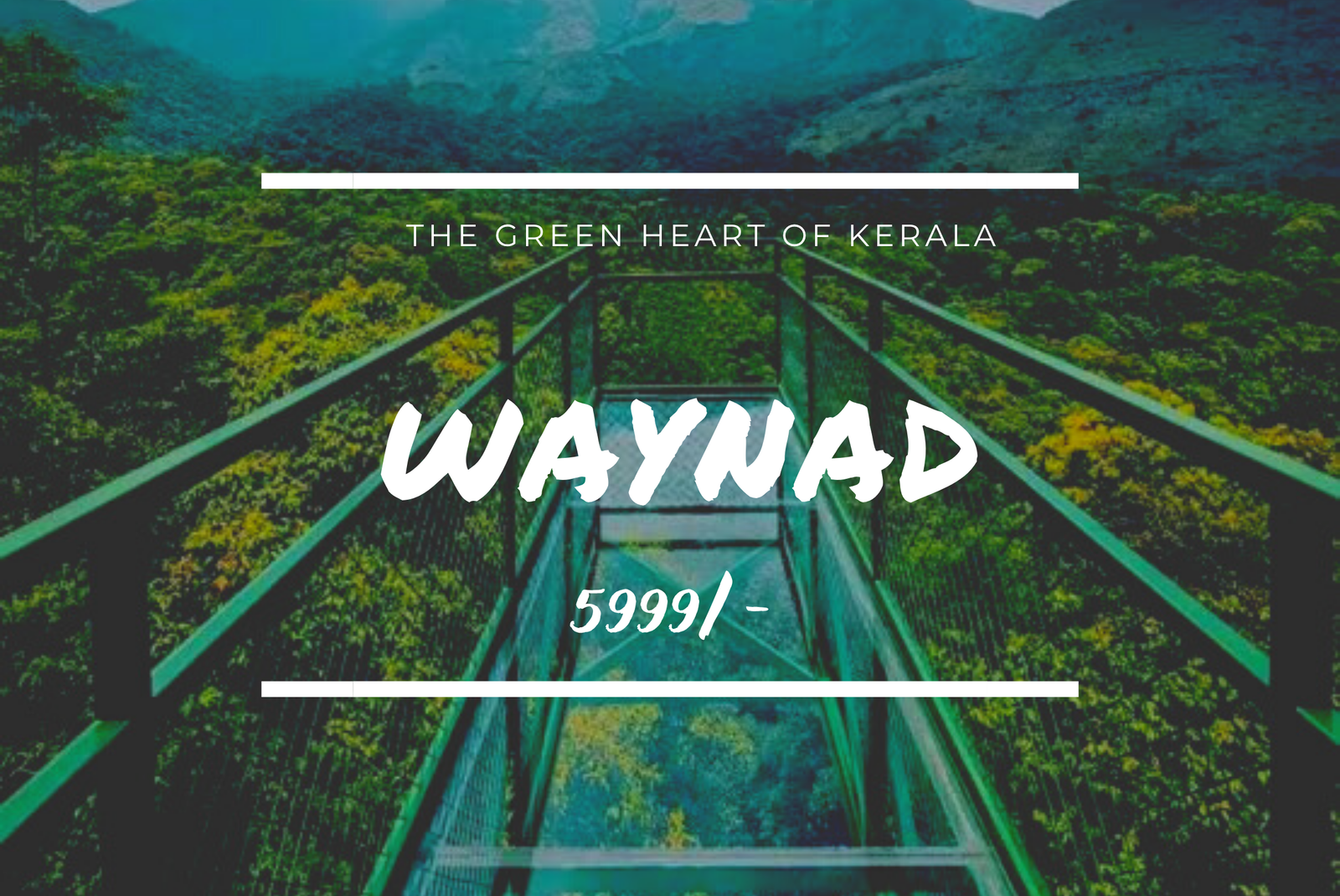WaynadWaynad poster