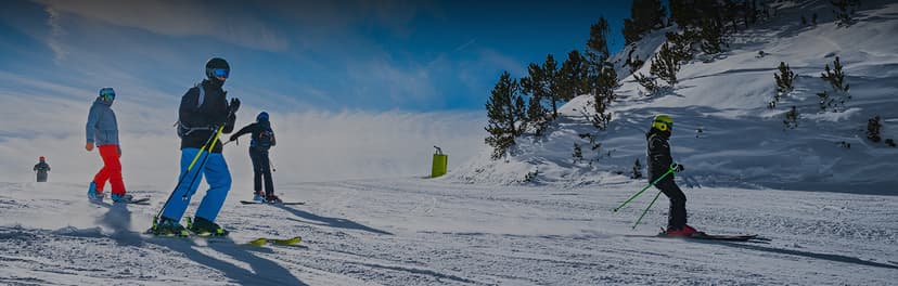 Auli Joshimath poster