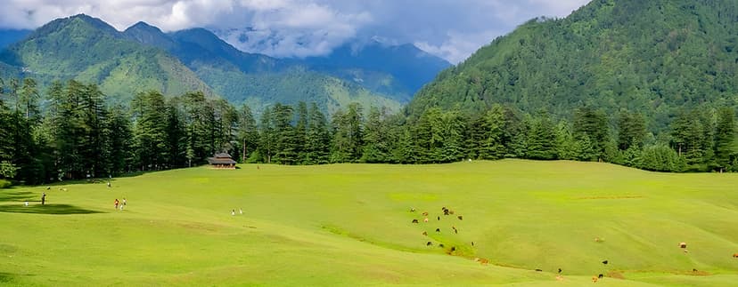 Shangarh Sainj Dussehra Special poster