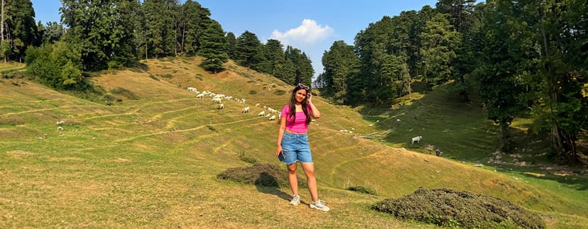 Chakrata Dussehra Special poster