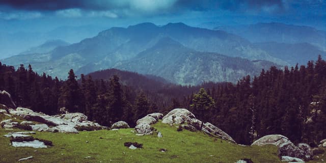 EnLive Trip Experiences Private Limited