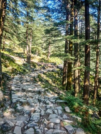 Discover the Mystical Beauty of McLeodganj & Triund Trek (3-Day Itinerary)
poster
