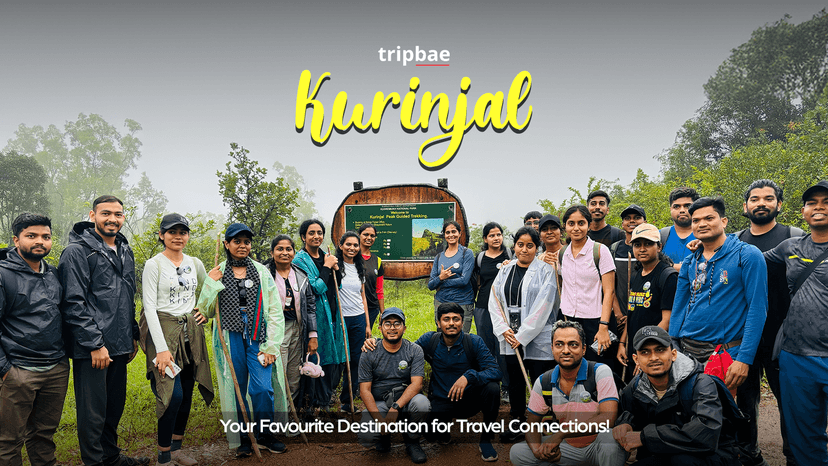 Kurinjal Peak Trek poster