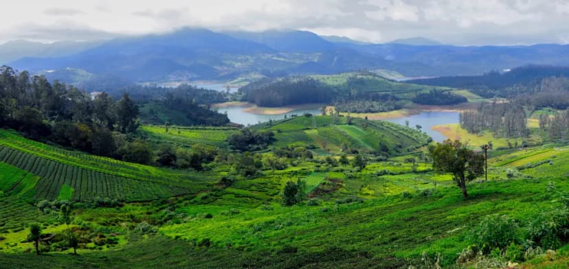 Ooty-Coonoor : Explore Misty Hills & Blissfull Weather - Oct 18-19, 19-20, 25-26, Nov 1-2, 8-9 poster