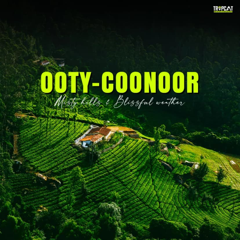 Discover the Misty Trails of Ooty & Coonoor in a Weekend Escape to Bangalore
poster