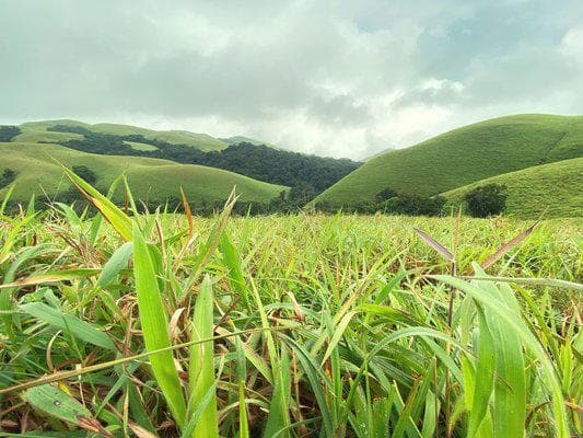 Bangalore Mountaineering Club