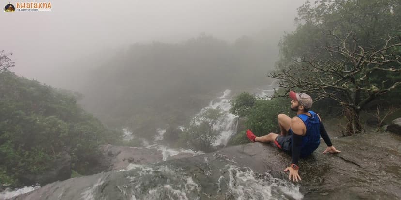 Aadrai Jungle Trek - The Unexplored Jungle Trek poster