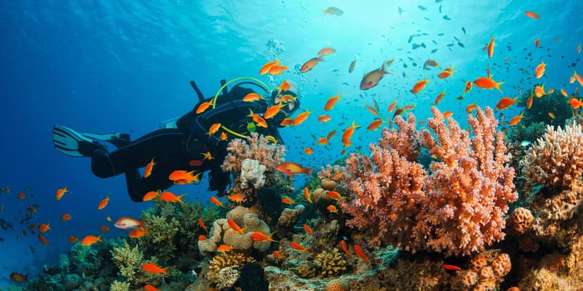 Malvan Tarkarli with Scuba Diving and Adventure Sport poster