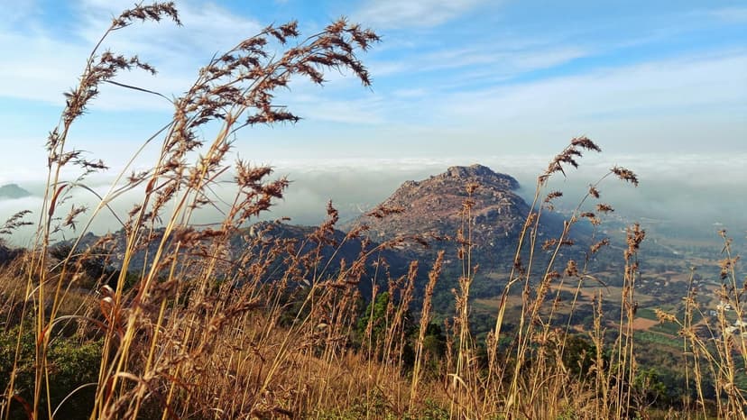 Kaiwara Betta Trek poster